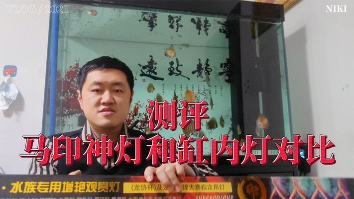 南美缸用馬印神燈好嗎怎么樣：南美缸使用馬印神燈好嗎