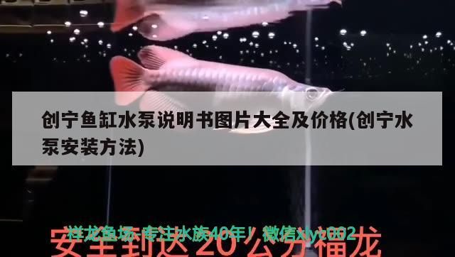 創寧魚缸水泵說明書圖片大全及價格(創寧水泵安裝方法)