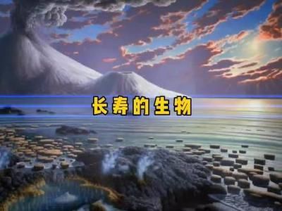 觀賞魚壽命最長的（觀賞魚的壽命有多長？）