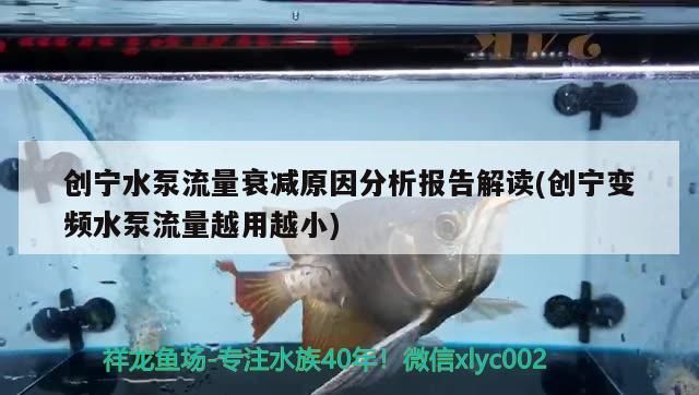 創寧水泵流量衰減原因分析報告解讀(創寧變頻水泵流量越用越小)