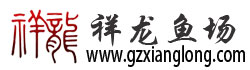 祥龍魚場(chǎng)金龍專用飼料
