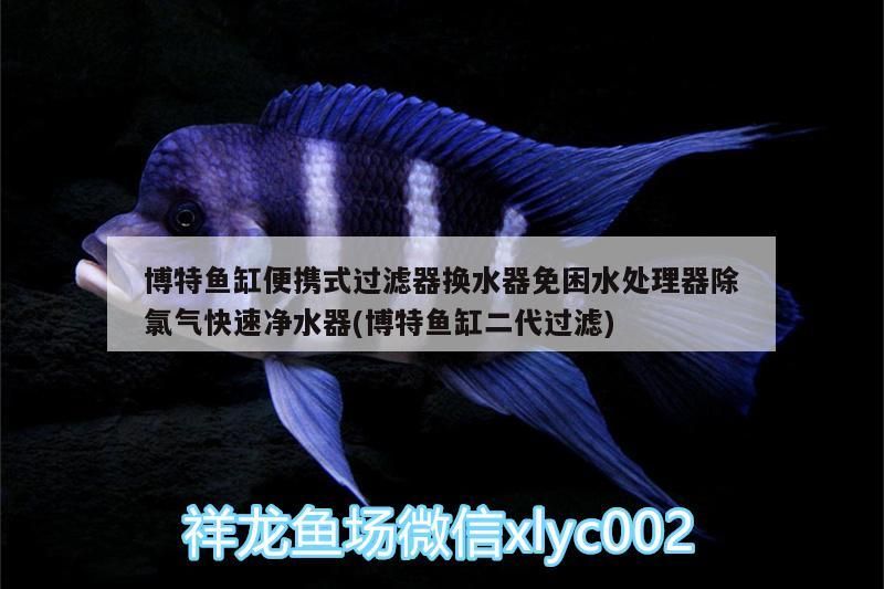 博特魚缸便攜式過濾器換水器免困水處理器除氯氣快速凈水器(博特魚缸二代過濾)