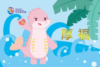 水族館 排名（夷亞龍灣海底漫步的水族館）