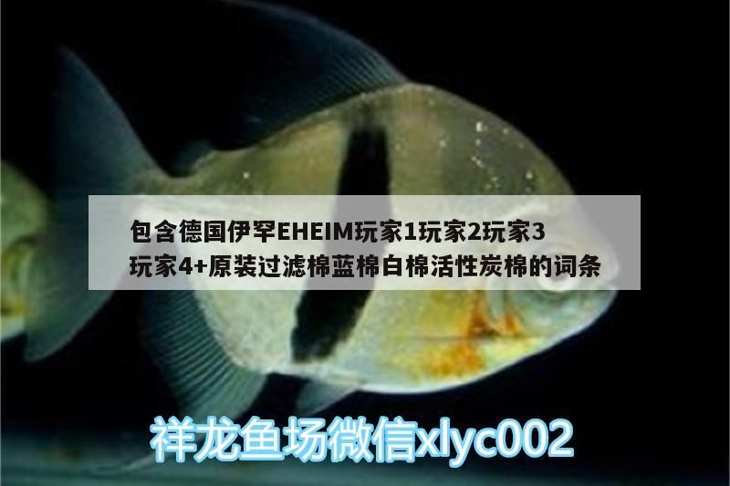 包含德國伊罕EHEIM玩家1玩家2玩家3玩家4+原裝過濾棉藍棉白棉活性炭棉的詞條