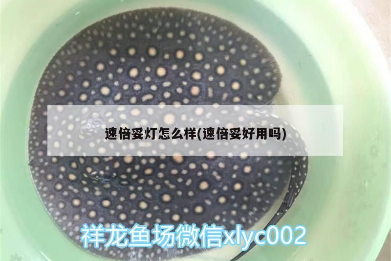 速倍妥燈怎么樣(速倍妥好用嗎)