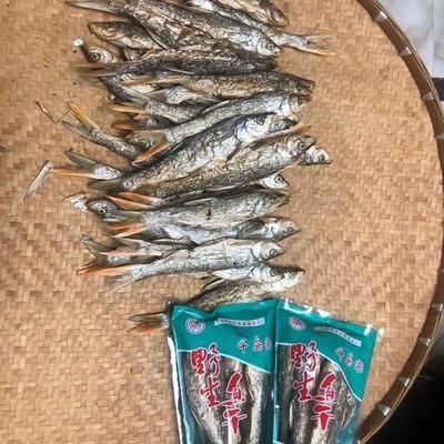 紅尾魚怎么釣用什么餌料（垂釣紅尾魚的具體方法和餌料選擇）