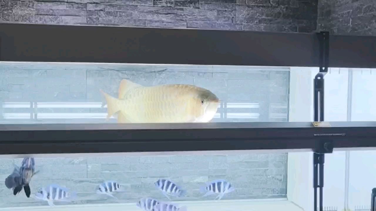 多角度記錄
