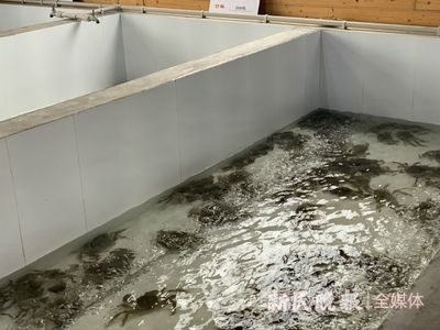一方水養：\"一方水土養一方人