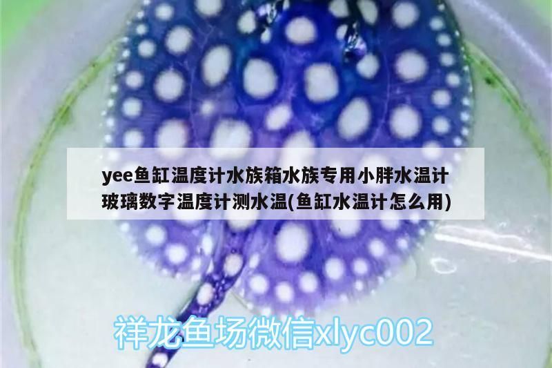 yee魚缸溫度計(jì)水族箱水族專用小胖水溫計(jì)玻璃數(shù)字溫度計(jì)測(cè)水溫(魚缸水溫計(jì)怎么用)