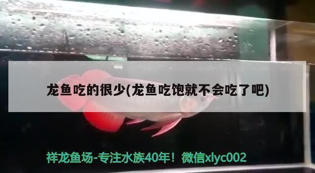 龍魚吃的少是什么原因造成的vs祥龍魚場：紅龍魚吃食太少為什么不吃
