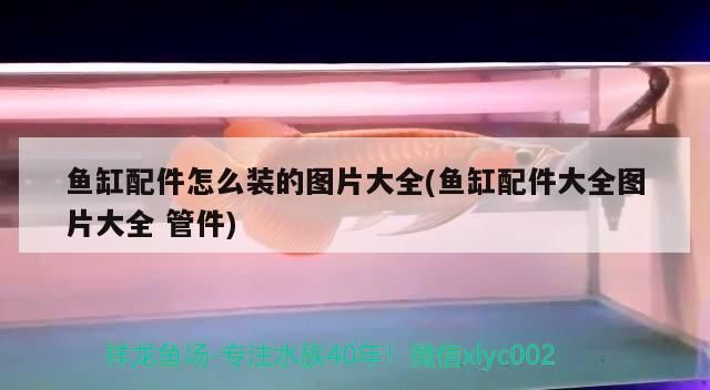 西安海鮮批發市場大匯總，呼市最大海鮮批發市場在哪里，海鮮批發市場在哪里