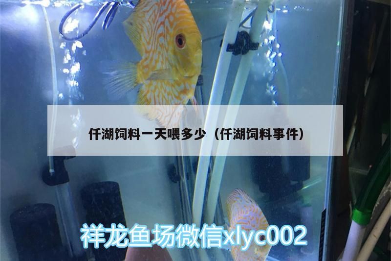 龍魚干蝦有營養(yǎng)嗎 仟湖飼料一天喂多少(仟湖飼料事件) 仟湖 仟湖飼料一天喂多少(仟湖飼料事件) 仟湖飼料一天喂多少(仟湖飼料事件) 仟湖