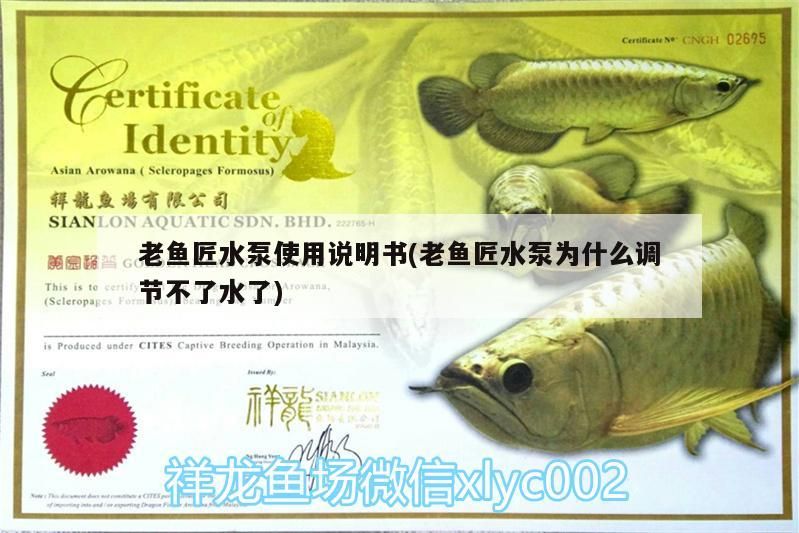 老魚匠水泵使用說明書(老魚匠水泵為什么調(diào)節(jié)不了水了)