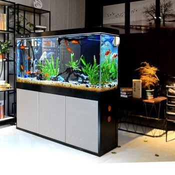 天津哪里有賣(mài)魚(yú)缸的實(shí)體店鋪啊(天津哪里有賣(mài)魚(yú)缸的實(shí)體店鋪啊電話)