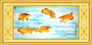 古典過背金龍用什么背景（古典過背金龍的飼養技巧）