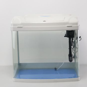 觀賞魚水族箱（如何打造個性化水族箱）