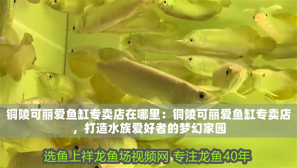 馬印增色燈發(fā)綠怎么回事：馬印增色燈發(fā)綠怎么回事馬印增色燈發(fā)綠怎么回事