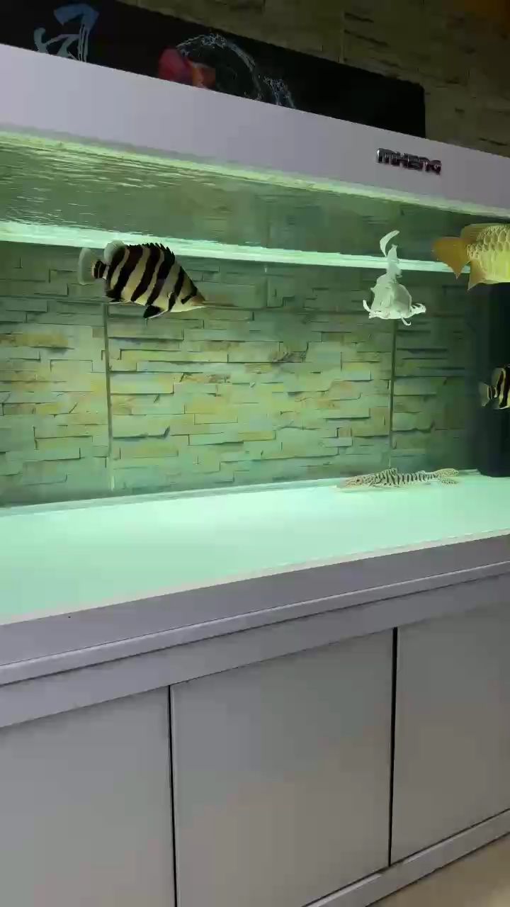 深夜到魚，兩條都20+