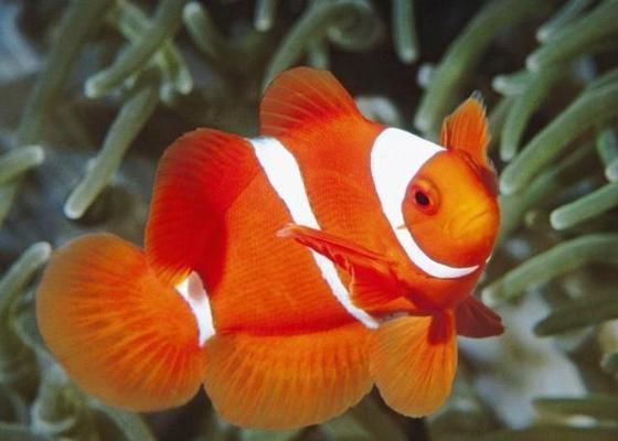 水族館全景：青島水族館歷史沿革