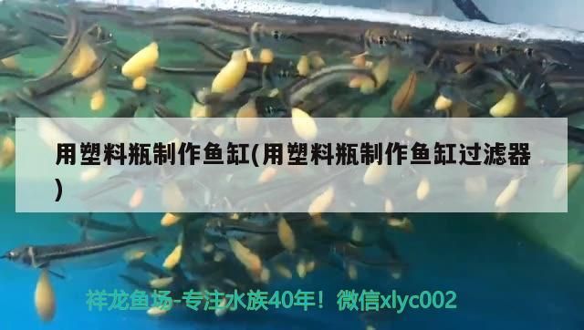 用塑料瓶制作魚缸(用塑料瓶制作魚缸過濾器)