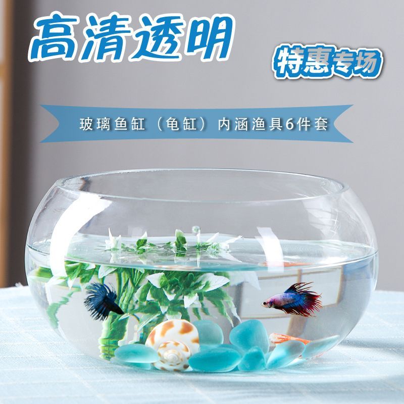 2020水族魚缸博覽會視頻：2020年廣州國際水族展亮點(diǎn)打造性價(jià)比展會