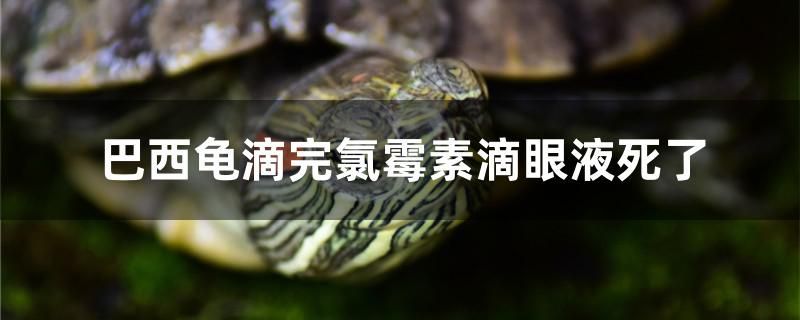 跳龍潭是什么意思的簡單介紹