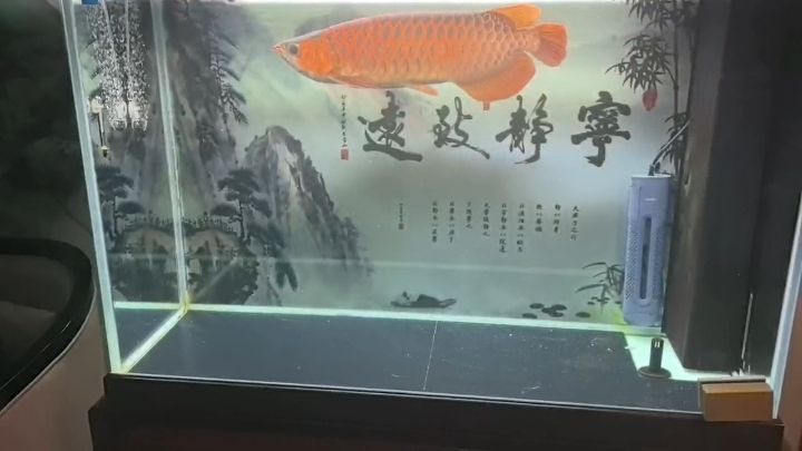 夢幻西游雷龍什么時候出售夢幻西游雷龍怎么沒買的，《夢幻西游》雷龍什么時候出售？