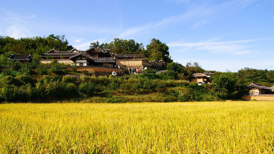海口龍魚批發市場地址在哪里呀（海口哪里賣龍魚）