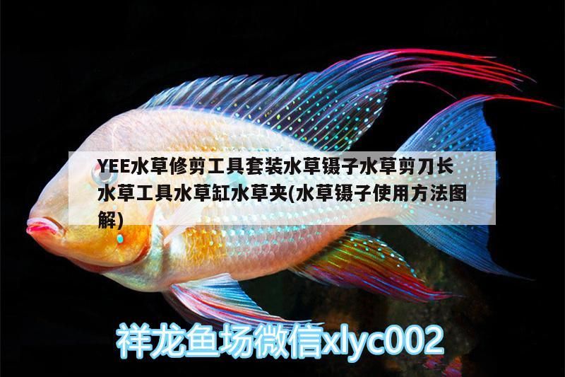 YEE水草修剪工具套裝水草鑷子水草剪刀長水草工具水草缸水草夾(水草鑷子使用方法圖解)
