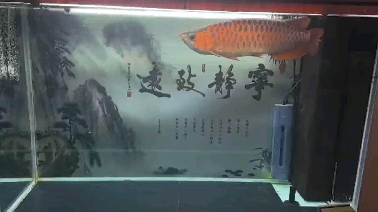 4歲了！！！
有點胖，該減肥了[ciya][ciya][ciya]