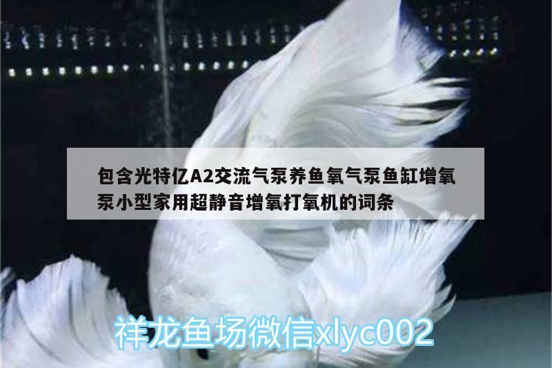 包含光特億A2交流氣泵養魚氧氣泵魚缸增氧泵小型家用超靜音增氧打氧機的詞條