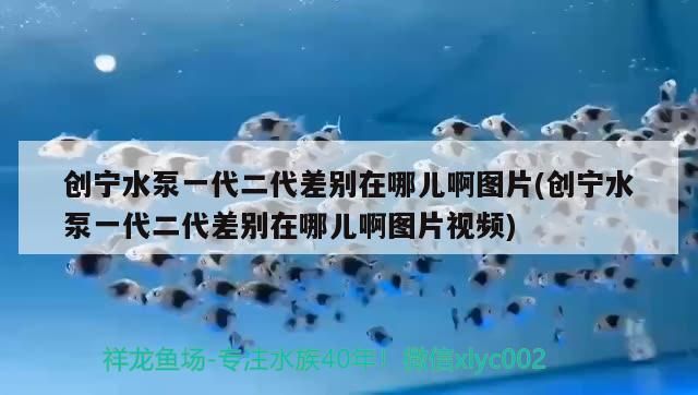 創寧水泵一代二代差別在哪兒啊圖片(創寧水泵一代二代差別在哪兒啊圖片視頻)