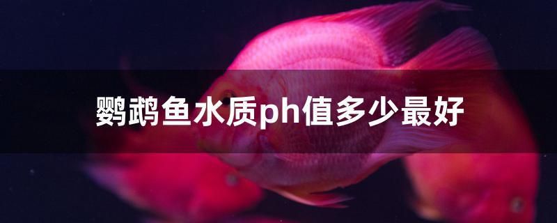西寧二手魚缸回收地址在哪里呀(如何設計和維護開放式陽臺) 錦鯉魚百科 第1張 西寧二手魚缸回收地址在哪里呀(如何設計和維護開放式陽臺) 西寧二手魚缸回收地址在哪里呀(如何設計和維護開放式陽臺) 錦鯉魚百科 第1張