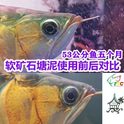 光特億加熱棒哪款好一點耐用又實惠：光特億ca+加熱棒哪款好一點耐用又實惠