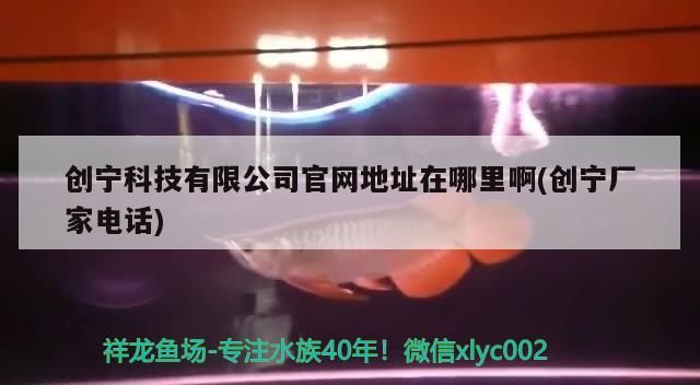 創(chuàng)寧科技有限公司官網(wǎng)地址在哪里啊(創(chuàng)寧廠家電話)