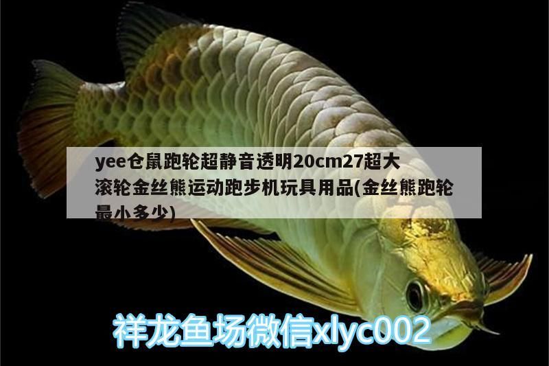 yee倉鼠跑輪超靜音透明20cm27超大滾輪金絲熊運動跑步機玩具用品(金絲熊跑輪最小多少)
