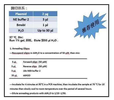 可麗愛魚缸蘭州專賣店：酒泉可麗愛魚缸專賣店，打造您的水族藝術空間