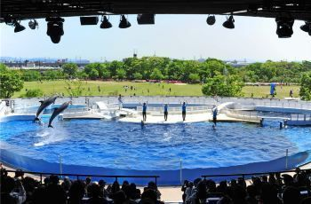 水族館門票圖片真實：關于水族館門票圖片的真實性問題