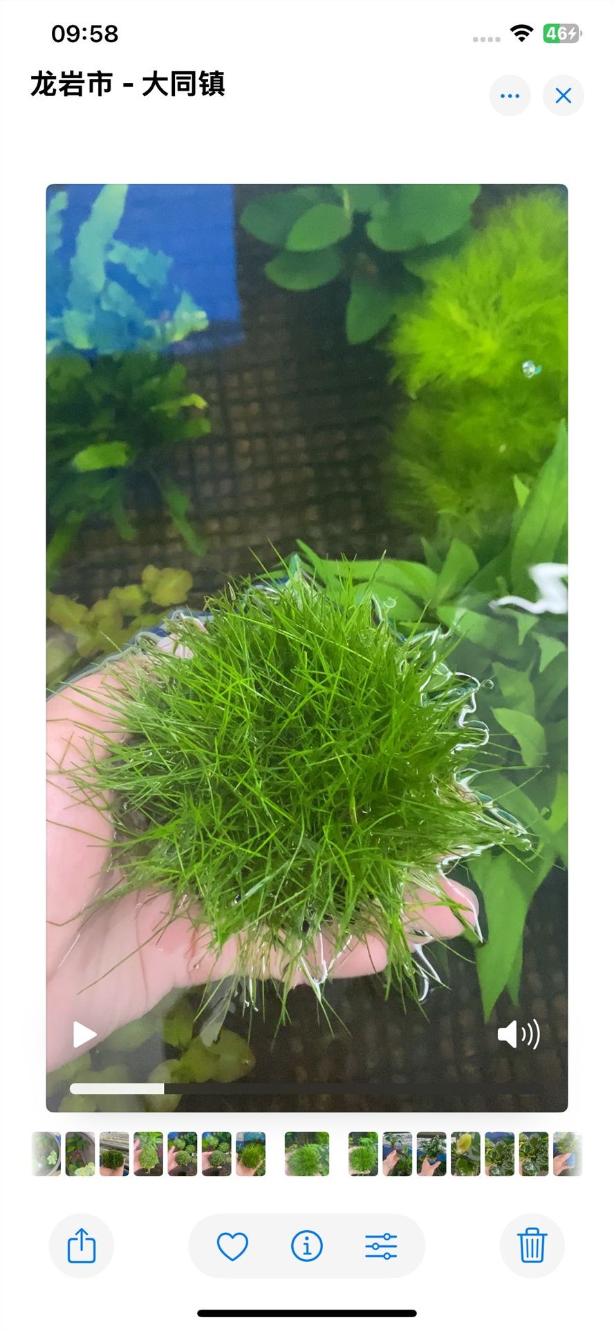 魚缸用增氧泵價格是多少:魚缸增氧機-xtrac增氧機-xtrac增氧機 我找大師算過了, 今天不適合干活 龍魚論壇 我找大師算過了, 今天不適合干活 我找大師算過了, 今天不適合干活 龍魚論壇
