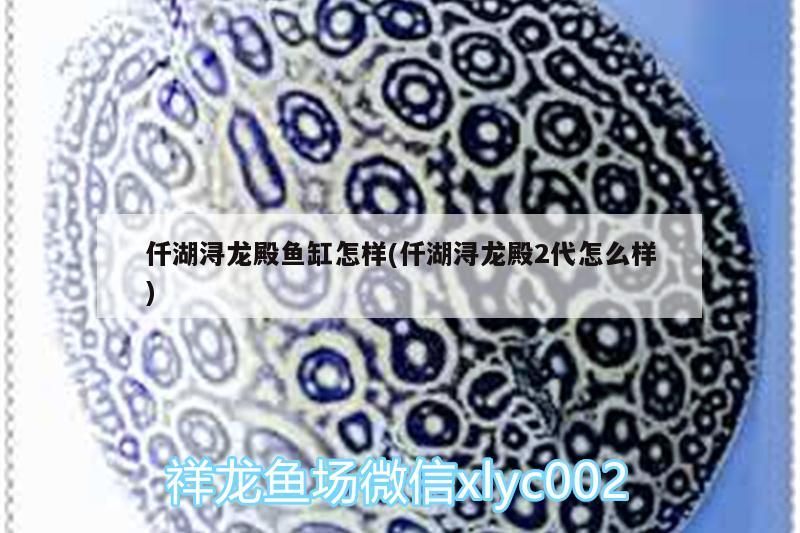 仟湖潯龍殿魚缸怎樣(仟湖潯龍殿2代怎么樣)