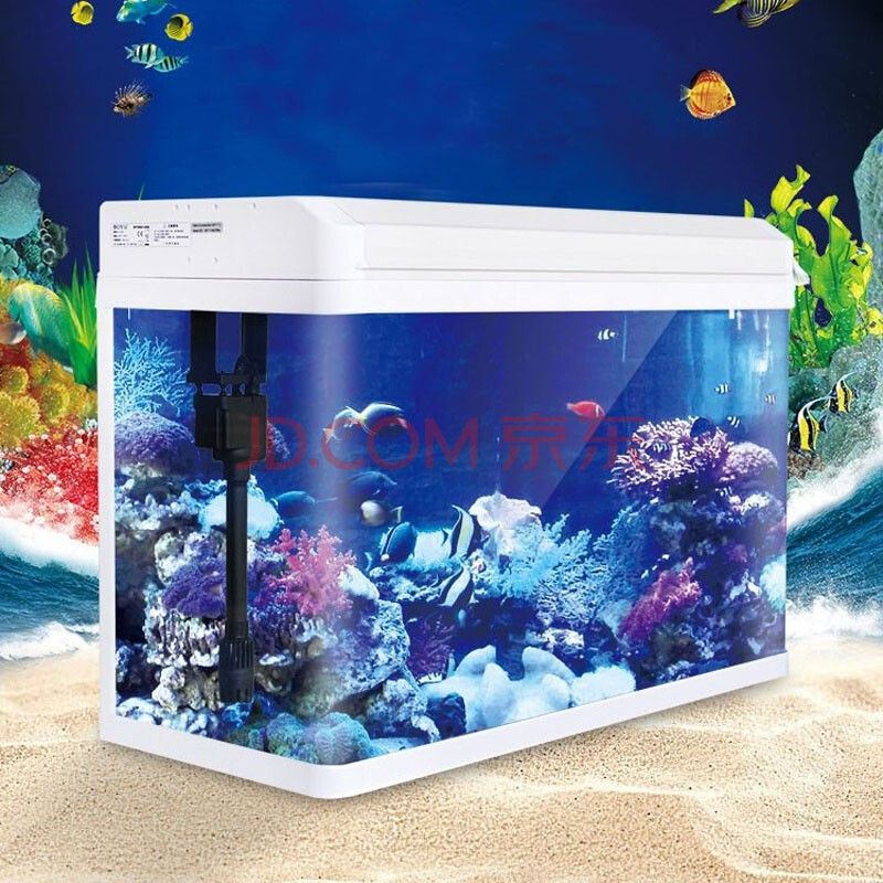 凌海觀賞魚店地址電話號碼查詢（凌海有花鳥魚市嗎）