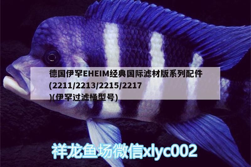德國伊罕EHEIM經(jīng)典國際濾材版系列配件(2211/2213/2215/2217)(伊罕過濾桶型號)
