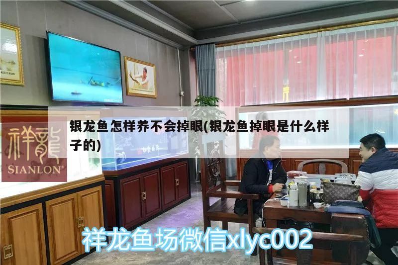 銀龍魚怎樣養不會掉眼(銀龍魚掉眼是什么樣子的)