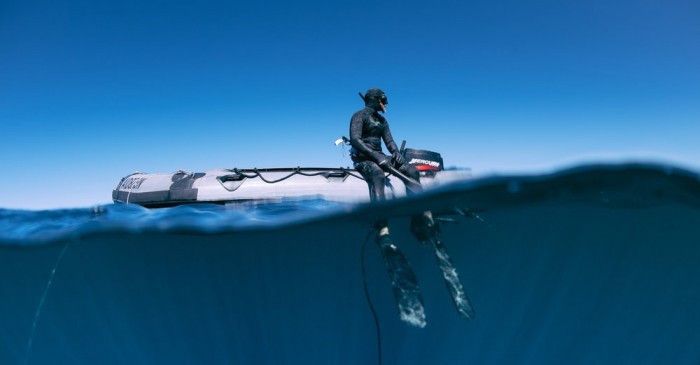小型魚缸圖片大全集（小型魚缸圖片大全集視頻）
