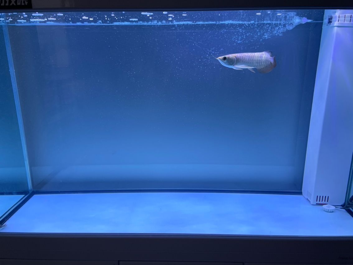 請(qǐng)教一下懂的魚友，我這個(gè)算過背還是什么呢????