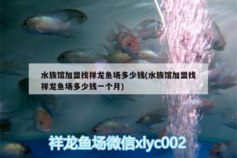 水族館加盟找祥龍魚場(chǎng)多少錢(水族館加盟找祥龍魚場(chǎng)多少錢一個(gè)月)