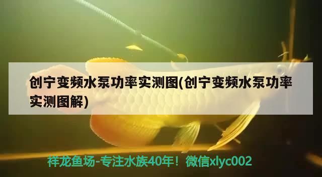 創(chuàng)寧變頻水泵功率實(shí)測(cè)圖(創(chuàng)寧變頻水泵功率實(shí)測(cè)圖解)