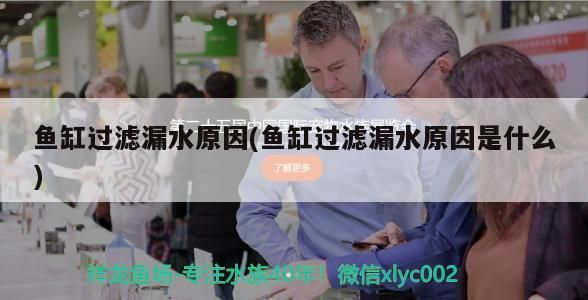 魚缸過濾漏水原因(魚缸過濾漏水原因是什么) 魚缸過濾漏水原因(魚缸過濾漏水原因是什么) 錦鯉魚百科