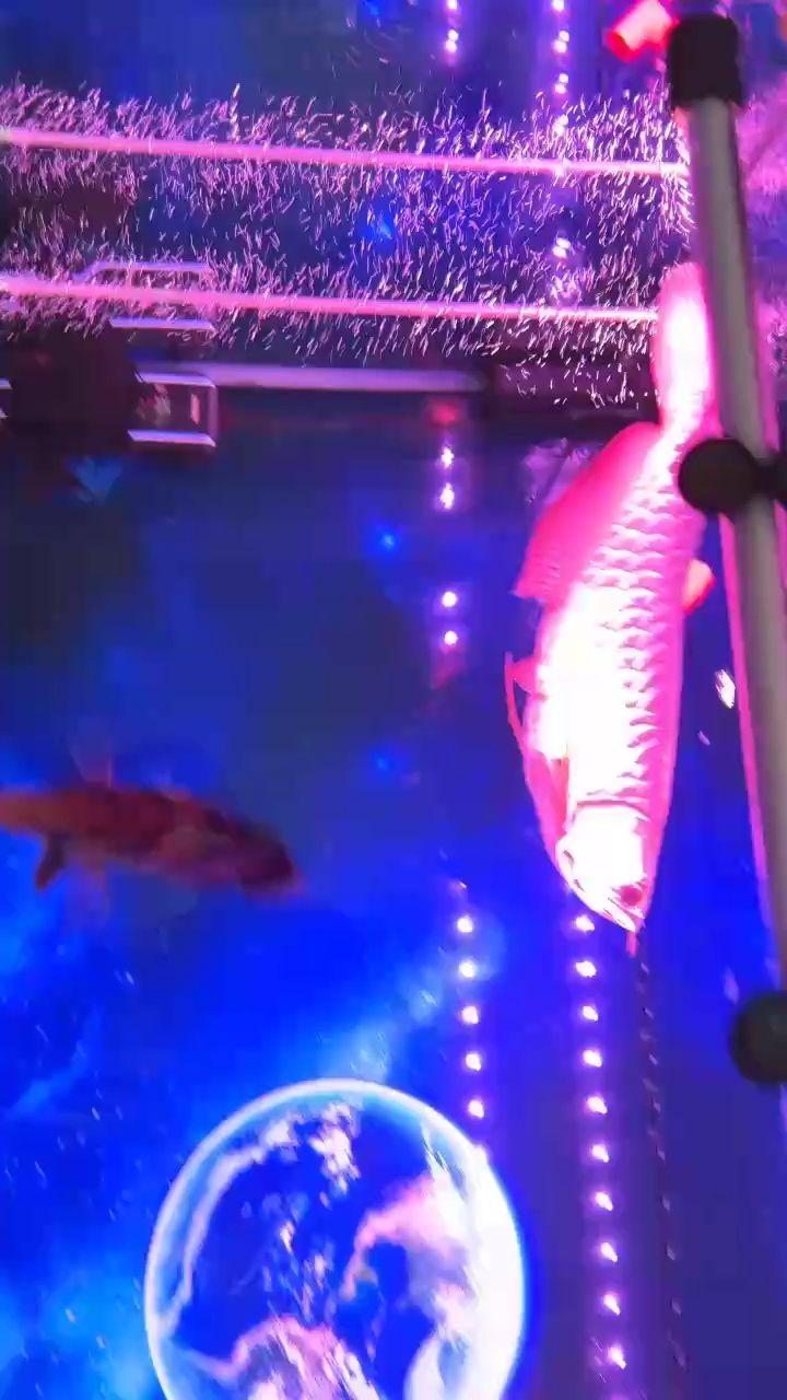 好久沒記錄了，和大家分享一下