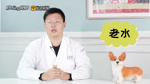 魚缸養魚用什么水最好視頻，魚缸養魚用什么水最好 魚缸養魚用什么水最好視頻，魚缸養魚用什么水最好 魚缸百科 第1張